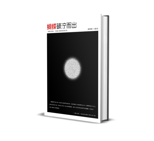 Chinese Simplified Edition #2, paperback - Butterflies in the Trenches