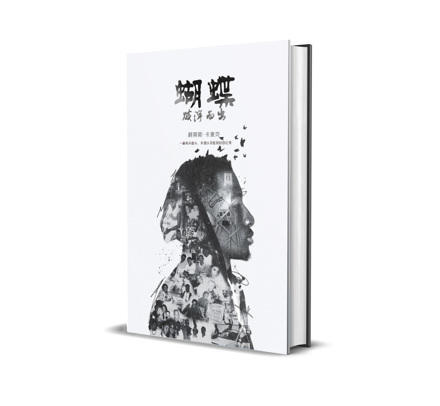 Chinese Simplified Edition #3, paperback - Butterflies in the Trenches